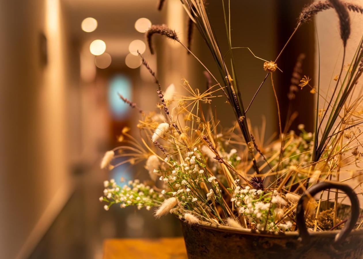 Hostal Restaurante Ventasierra Valdoré 外观 照片
